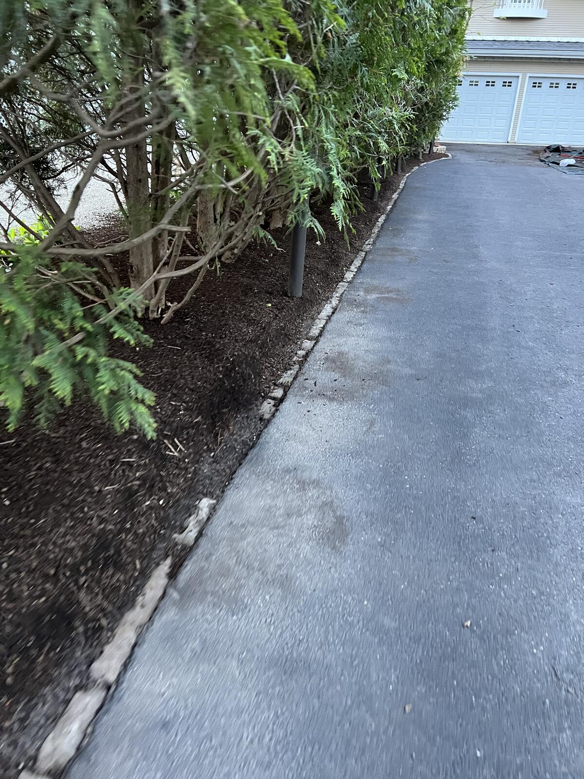 Mulch along foundation