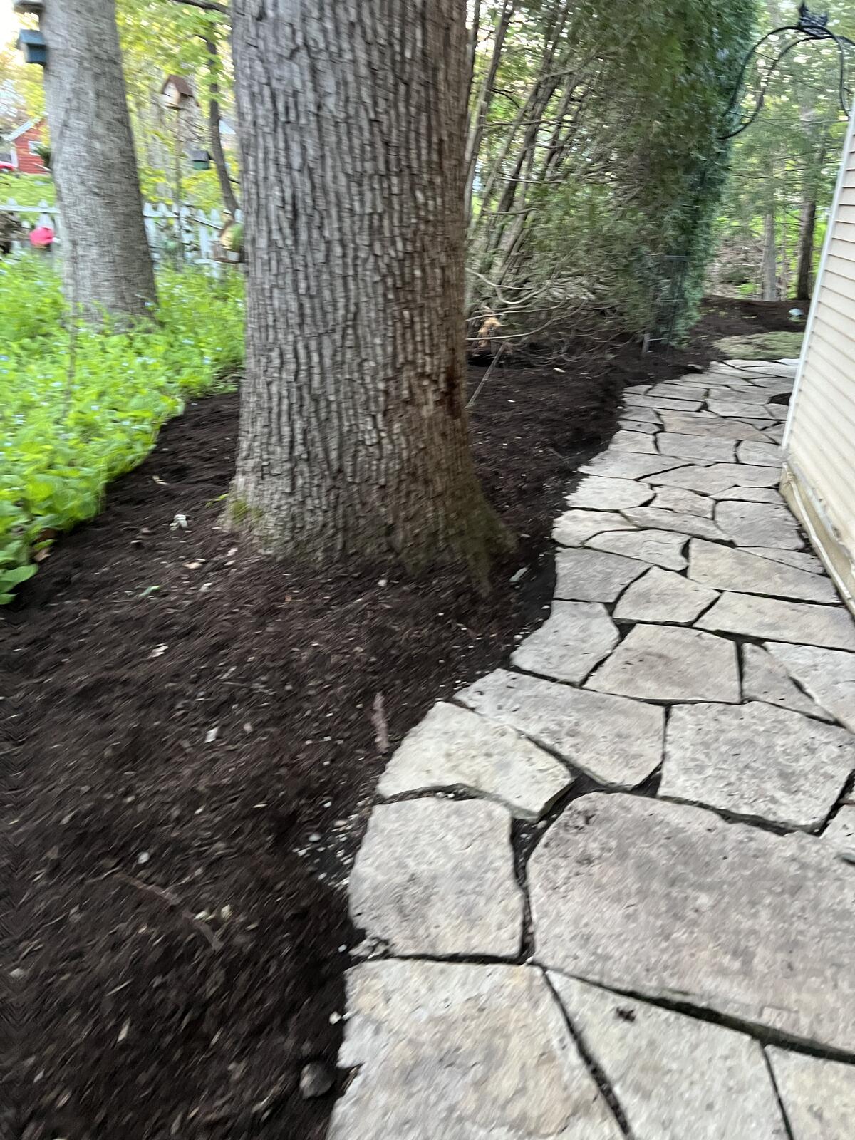 Mulch bed near stone wall