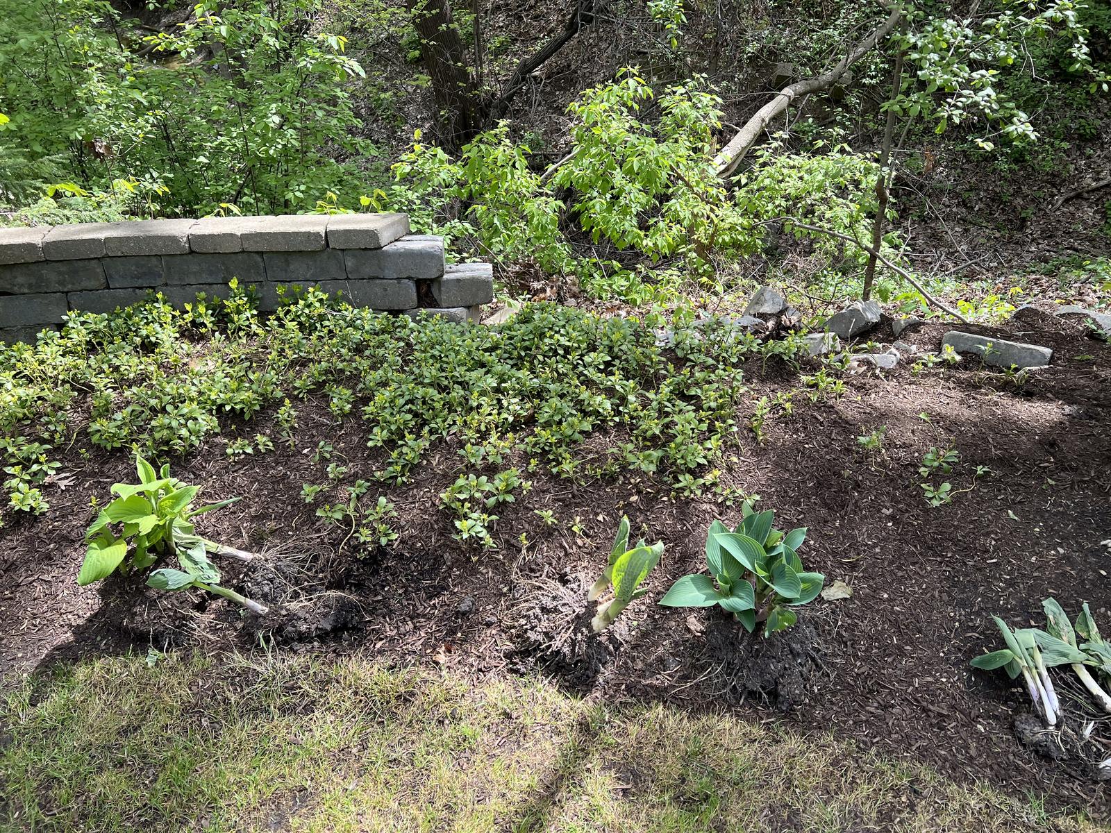 Old failing retaining wall before removal