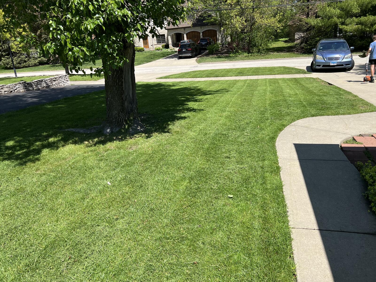 Manicured front yard with fresh mowing stripes
