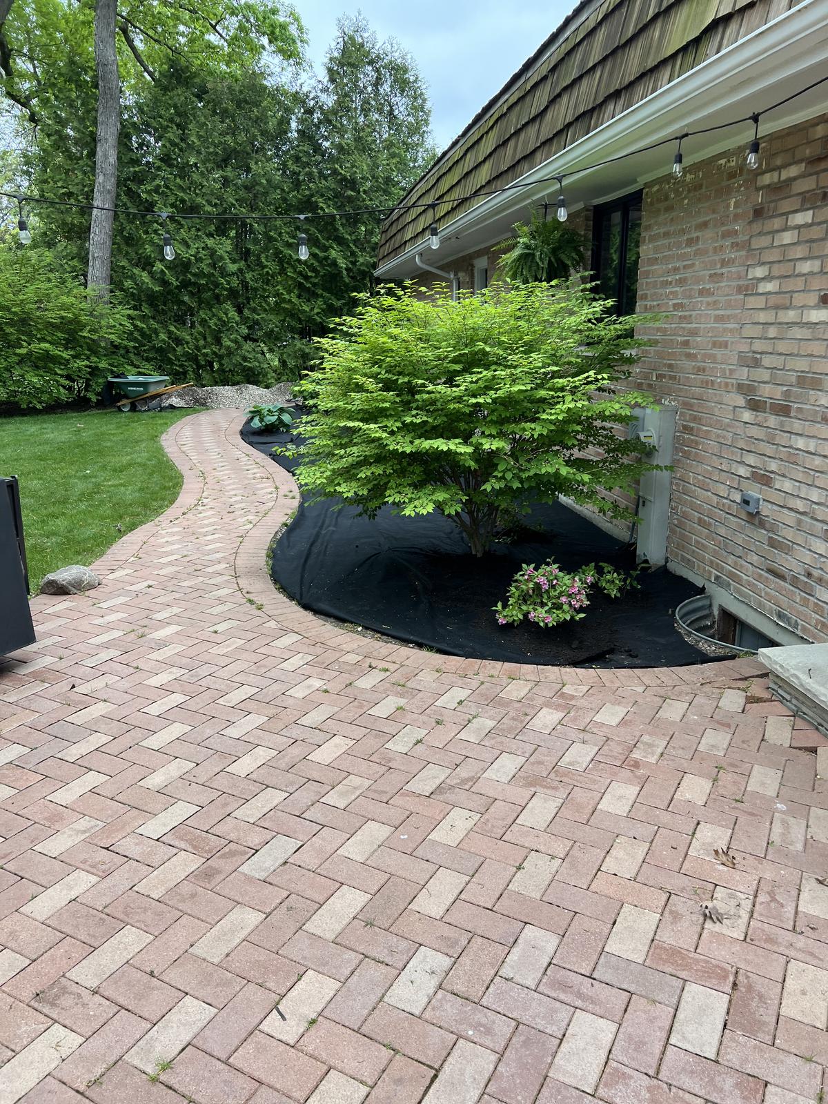 Bed cleared and prepped with landscape fabric
