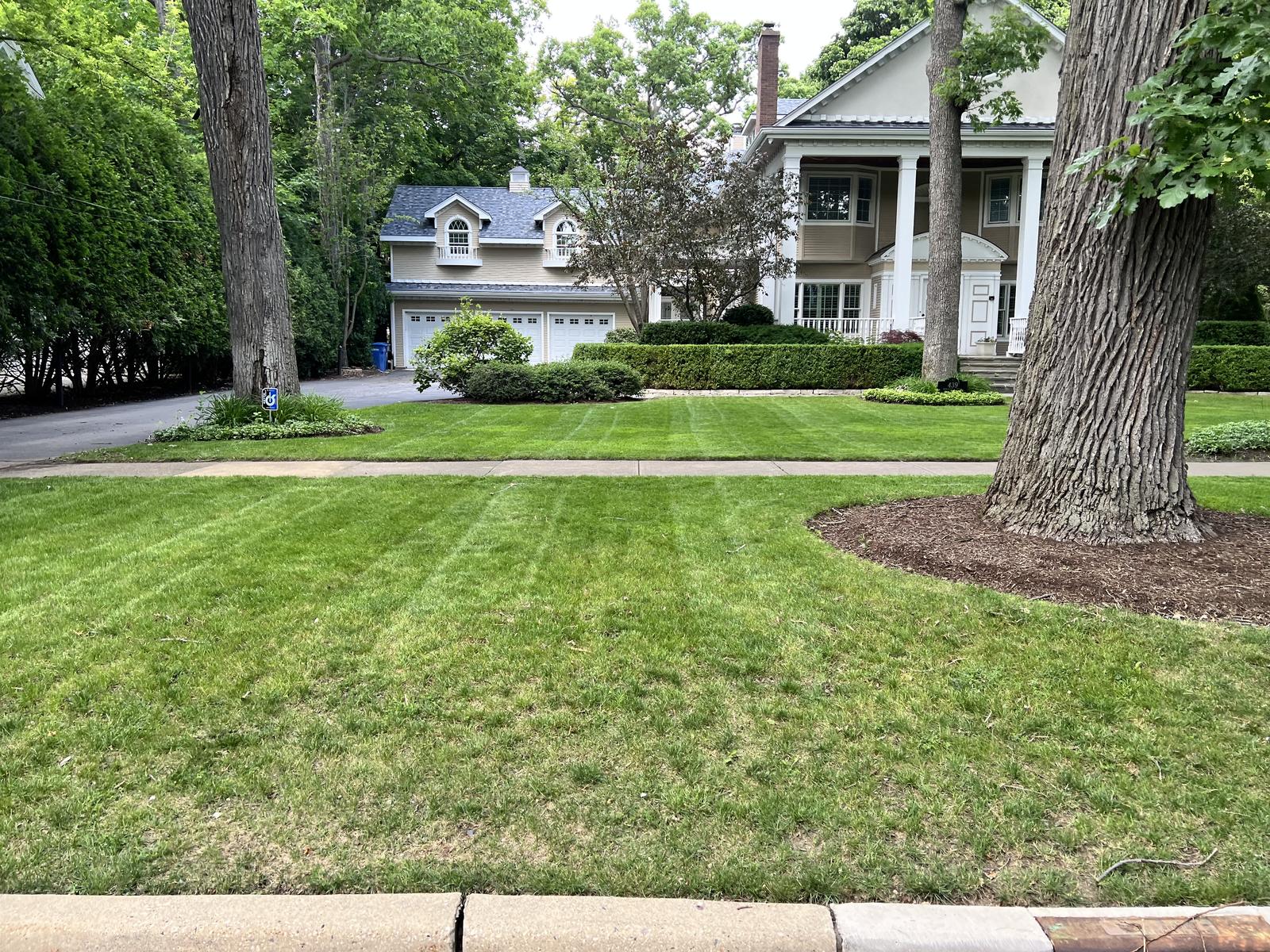 Striped mowing across two front lawns