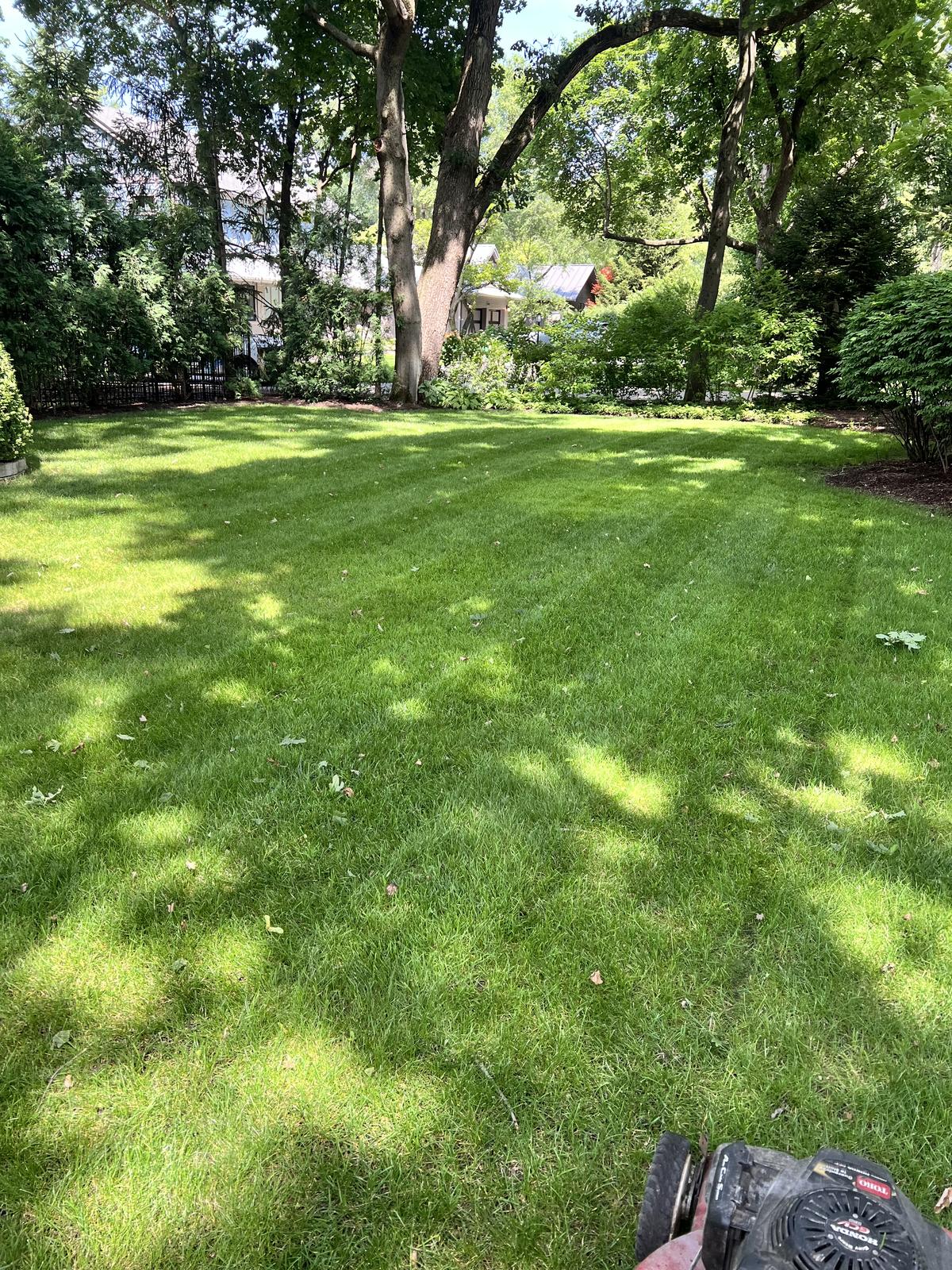 Thick green lawn freshly mowed with Toro mower